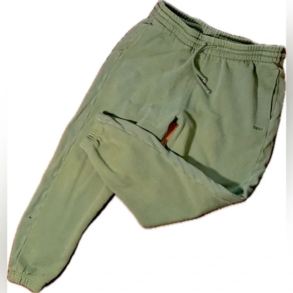 TNA Aritzia Cozy Sweatfleece Sage Green Sweatpants Joggers Boyfriend Fit L - Picture 4 of 7